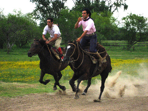 Gauchos
